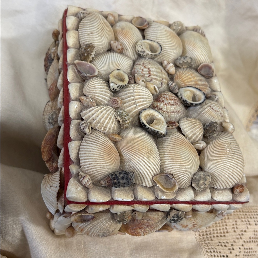 Seashell Embellished Decorative Box - Natural Shells - Picture 3 of 4